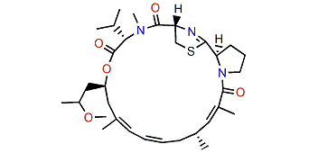 Alotamide A